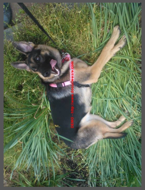 image003 Figure 3: Image rotation